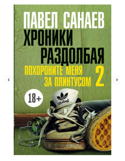 Книга хроники раздолбая