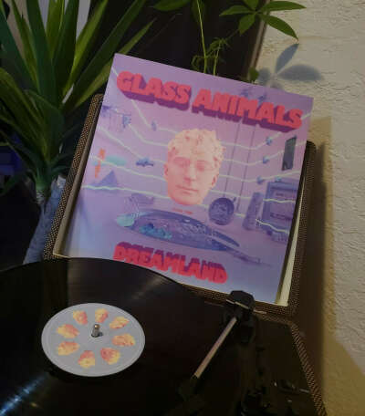Виниловая пластинка Glass Animals - Dreamland