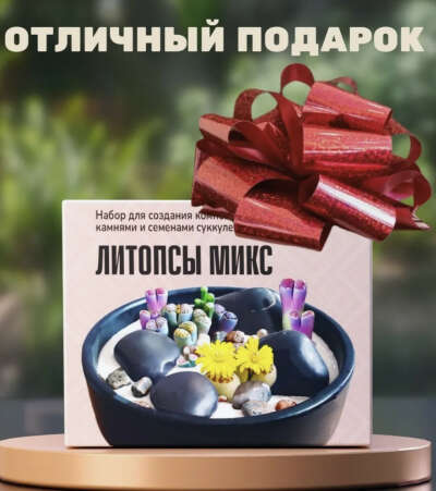 Набор для выращивания литопс (ссылка есть)