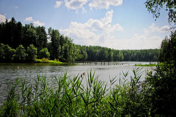 Купаться