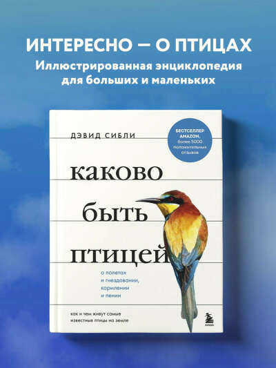 Каково быть птицей: о полетах и гнездовании, кормлении и пении. Как и чем живут самые известные птицы на земле | Сибли Дэвид Аллен