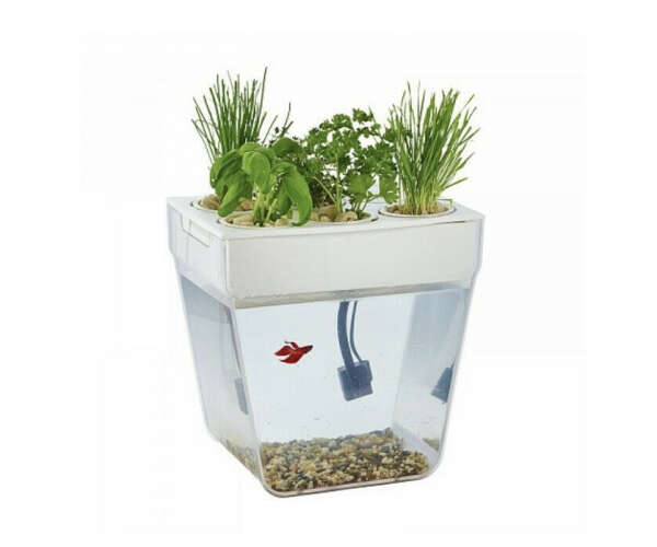 Акваферма AquaFarm