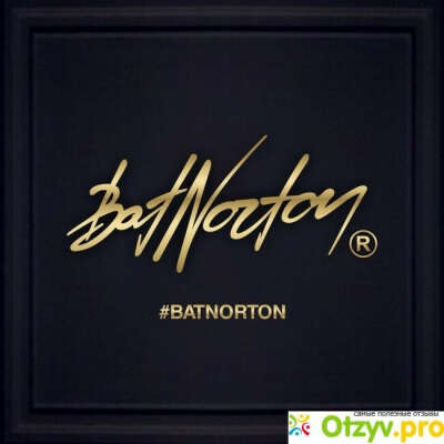сертификат в Bat Norton