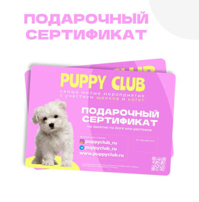 йога со щенками 😭😭😭😭