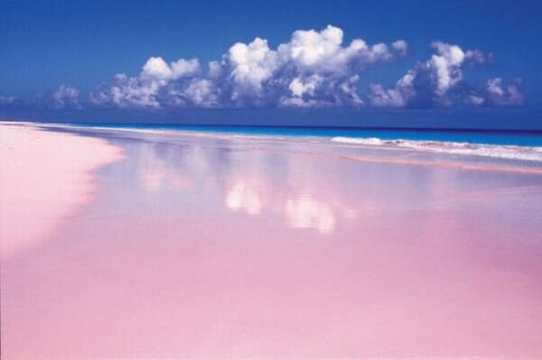 Посетить Pink Sands Beach, остров Харбор, Багамские острова