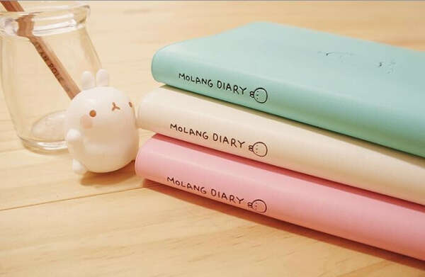 Ежедневник Molang