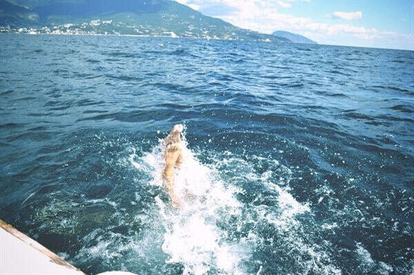Поехать на море