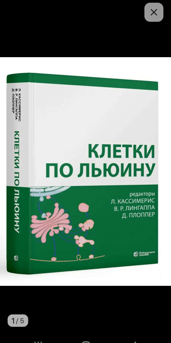 Клетки по Льюину