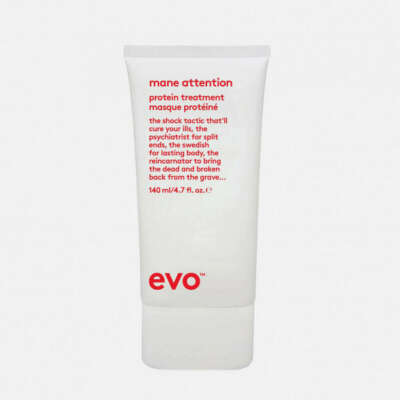 Evo Mane attention