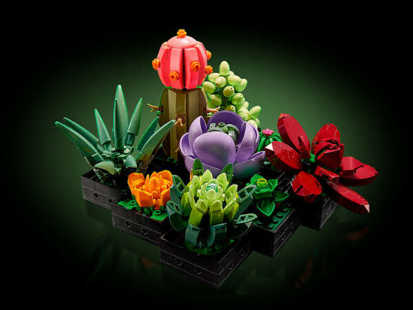 LEGO Суккуленты
