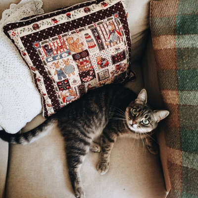 Кошечка