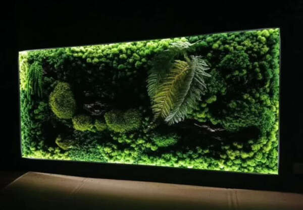 Панно из мха