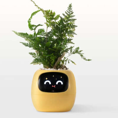 Умный плантатор Ivy
